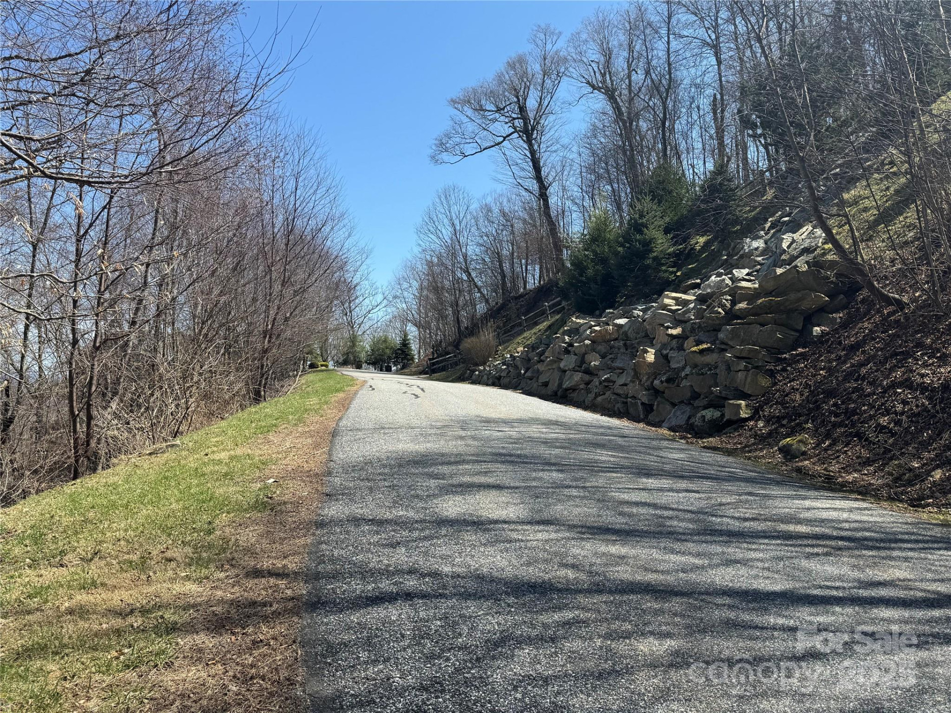 53 & 55 Running Cedar Drive - Photo 8