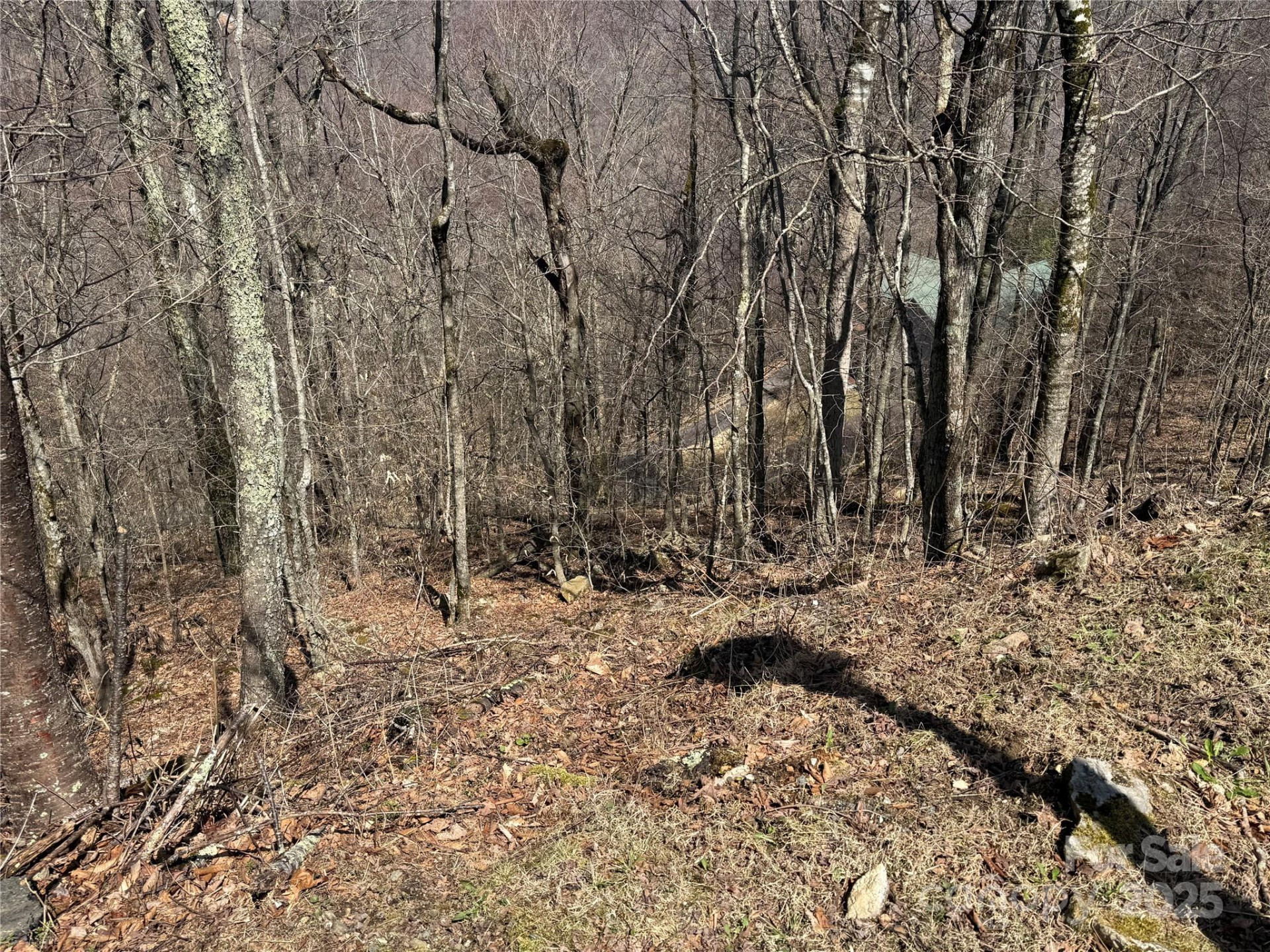 53 & 55 Running Cedar Drive - Photo 9