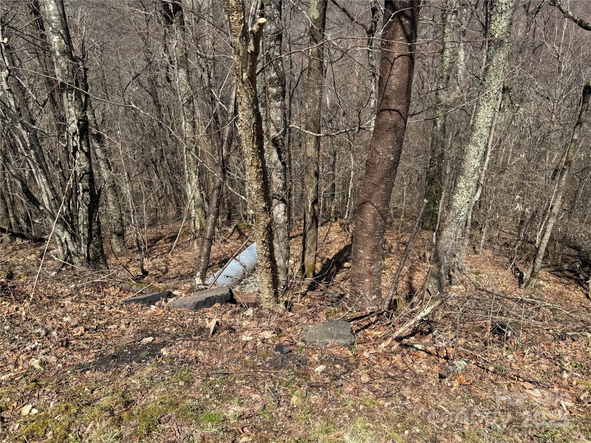 53 & 55 Running Cedar Drive - Photo 10