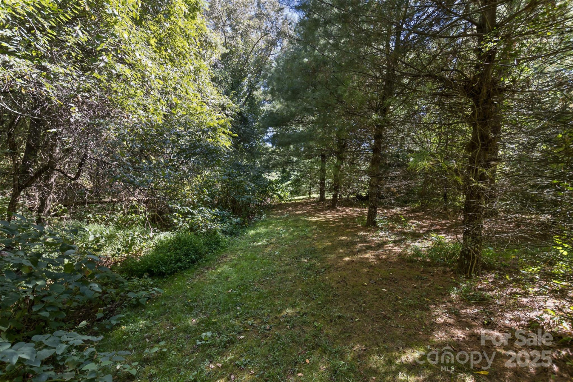 99999 Rocky Hollow #Tract 2 - Photo 11