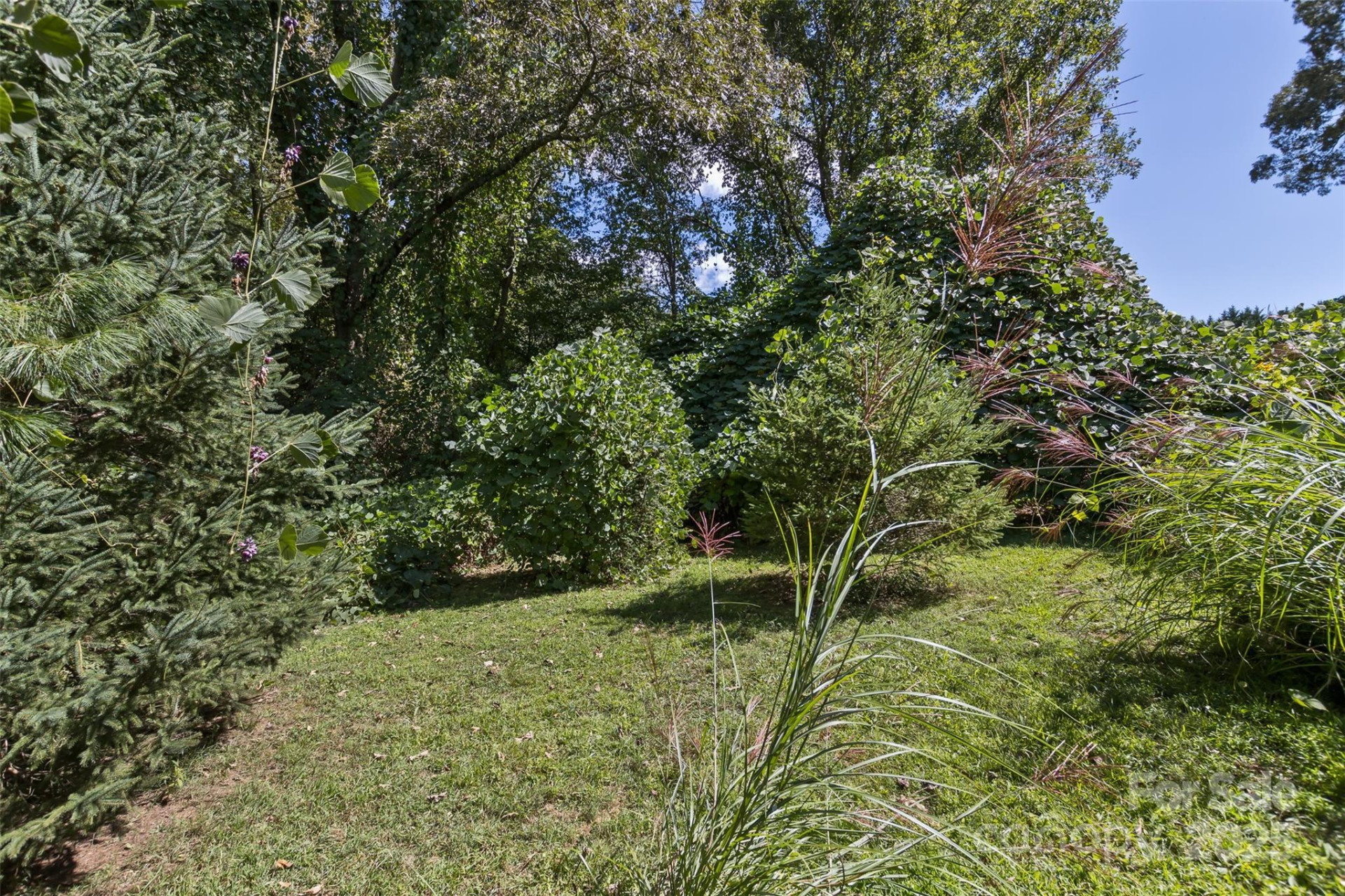 99999 Rocky Hollow #Tract 2 - Photo 3