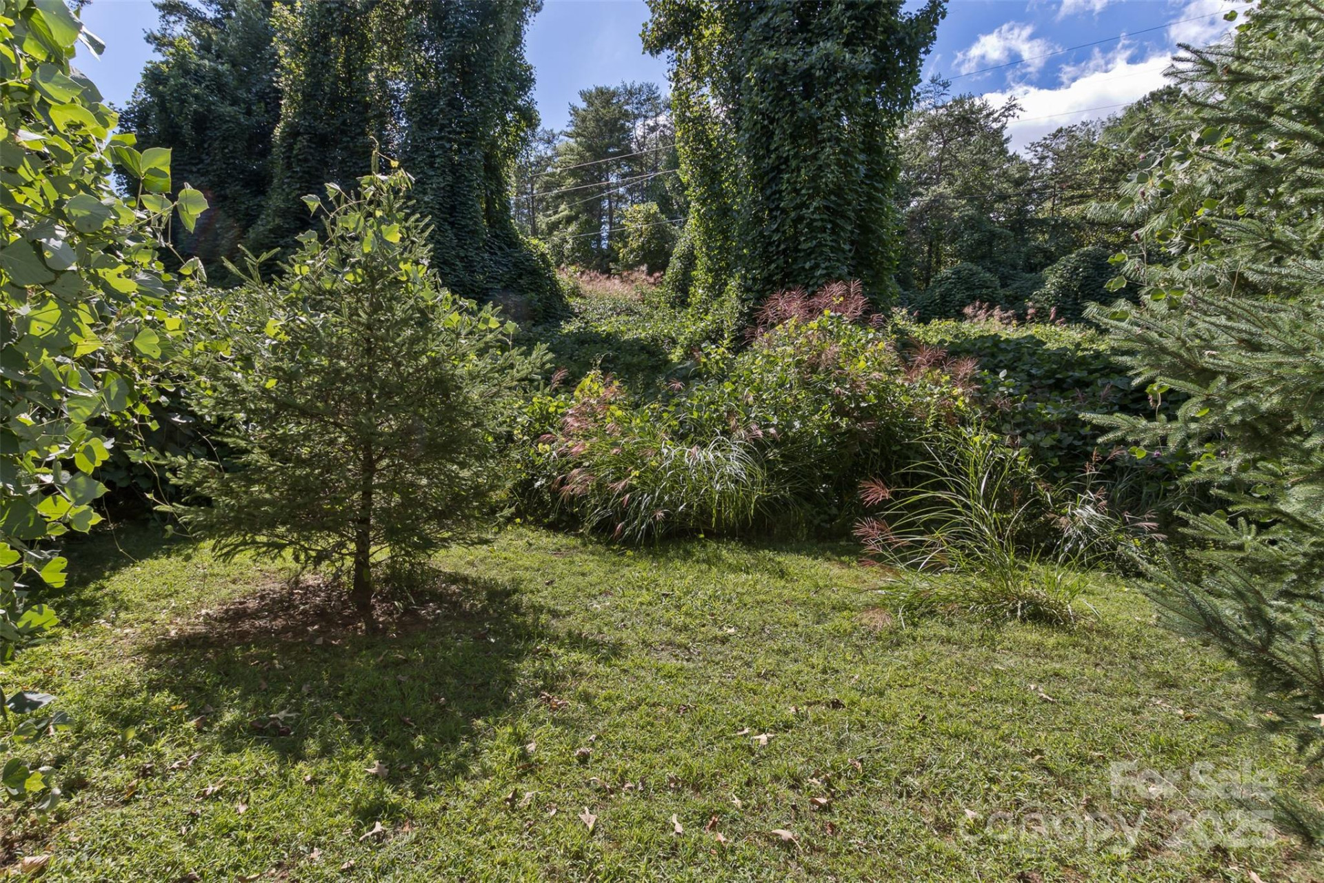 99999 Rocky Hollow #Tract 2 - Photo 4