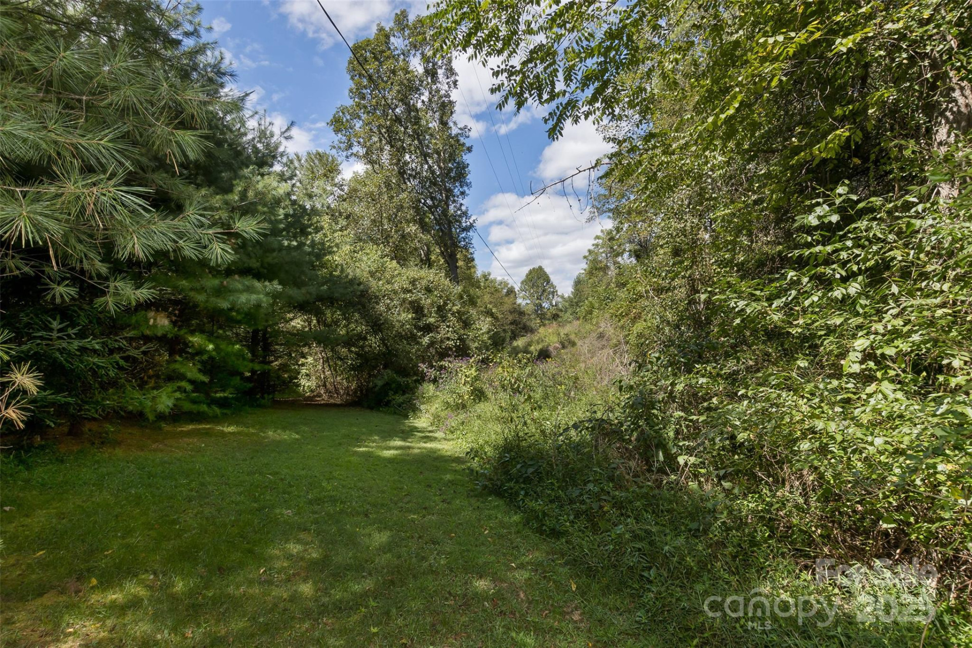 99999 Rocky Hollow #Tract 2 - Photo 5