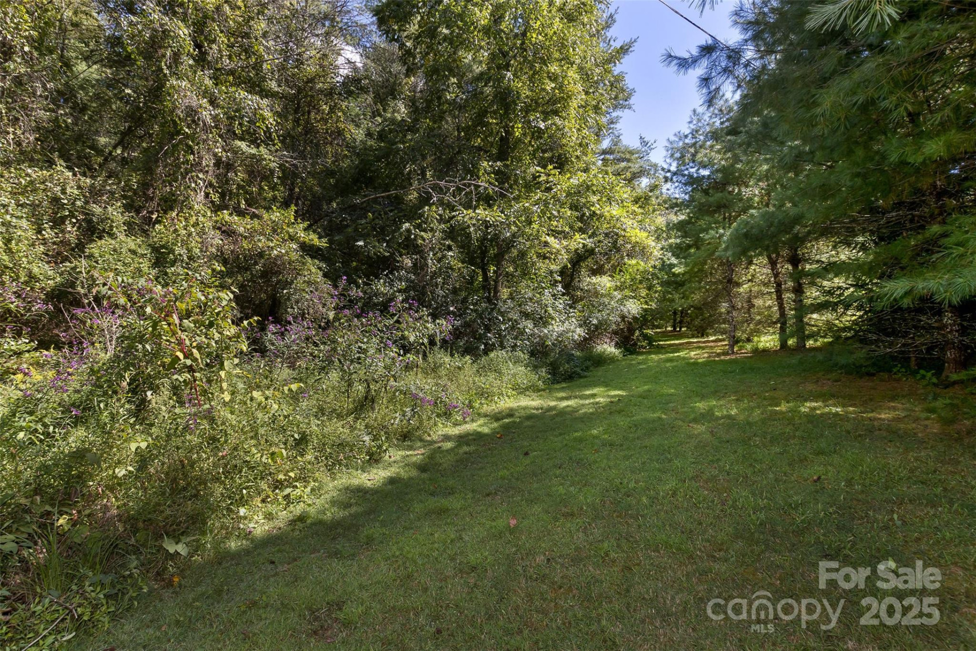 99999 Rocky Hollow #Tract 2 - Photo 6