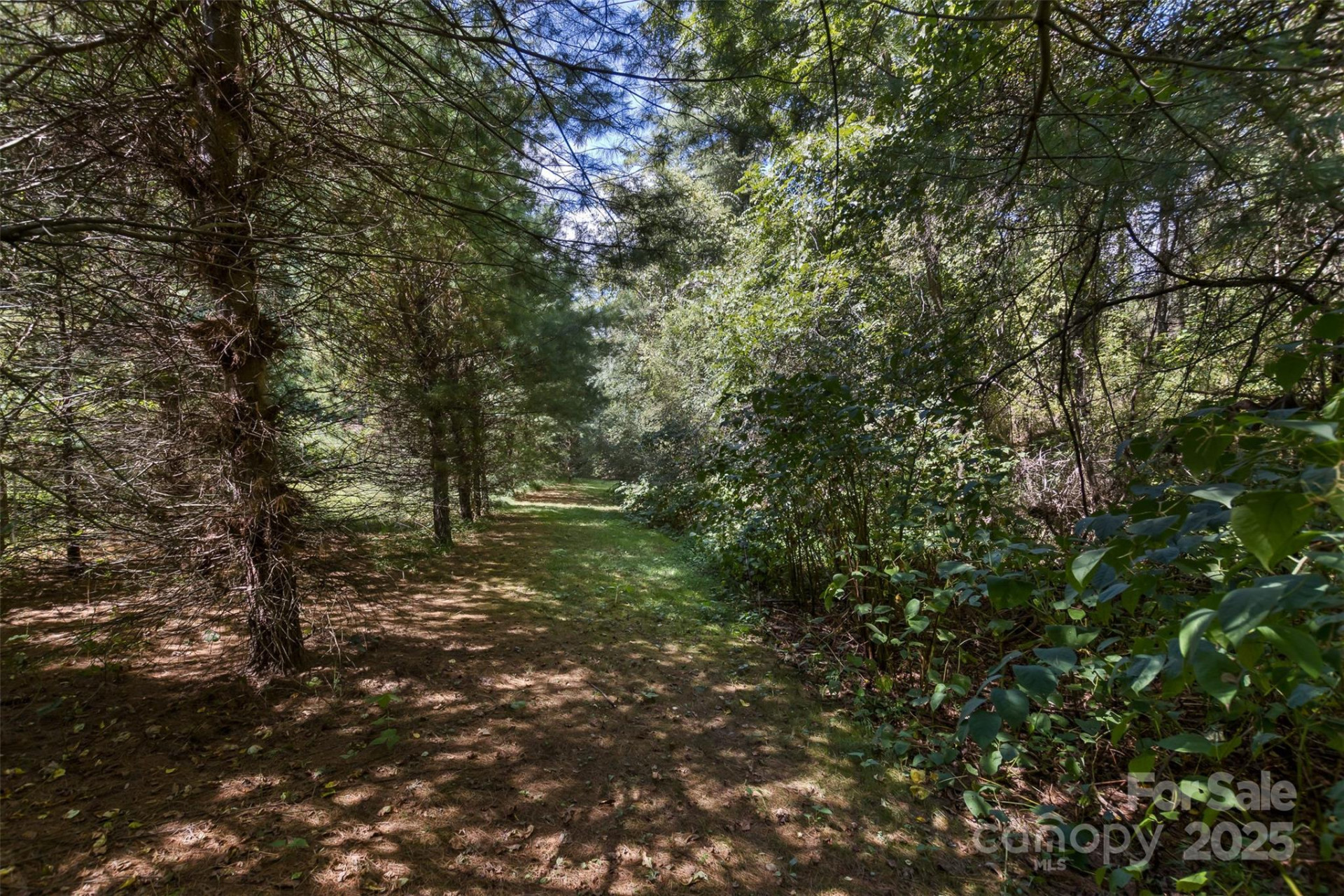 99999 Rocky Hollow #Tract 2 - Photo 10