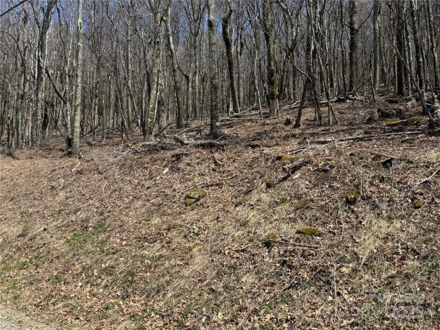 244 & 245 Grouse Thicket Lane