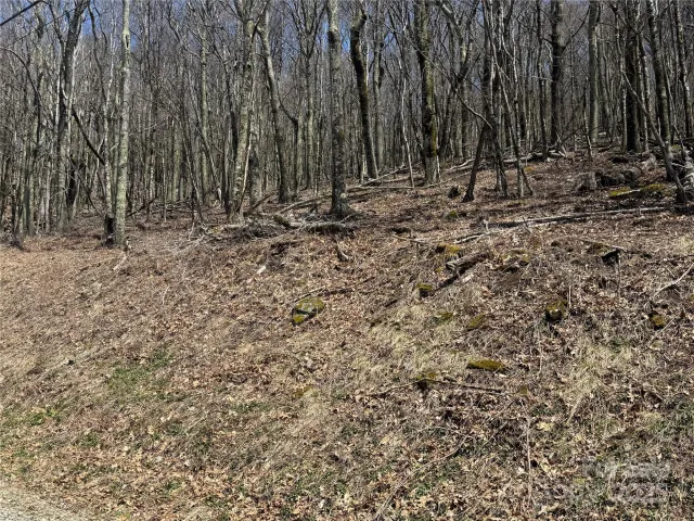 244 & 245 Grouse Thicket Lane