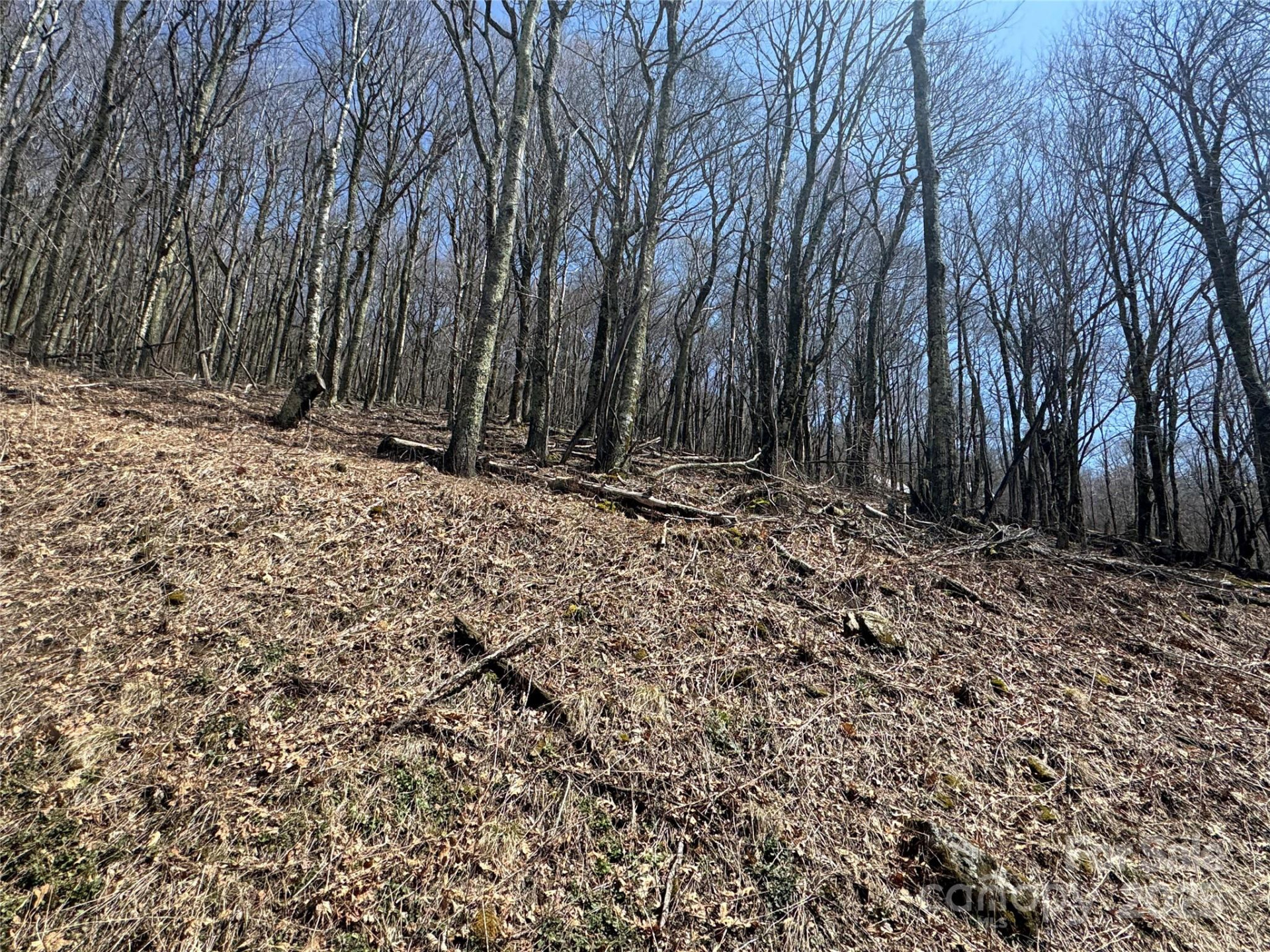 244 & 245 Grouse Thicket Lane - Photo 2