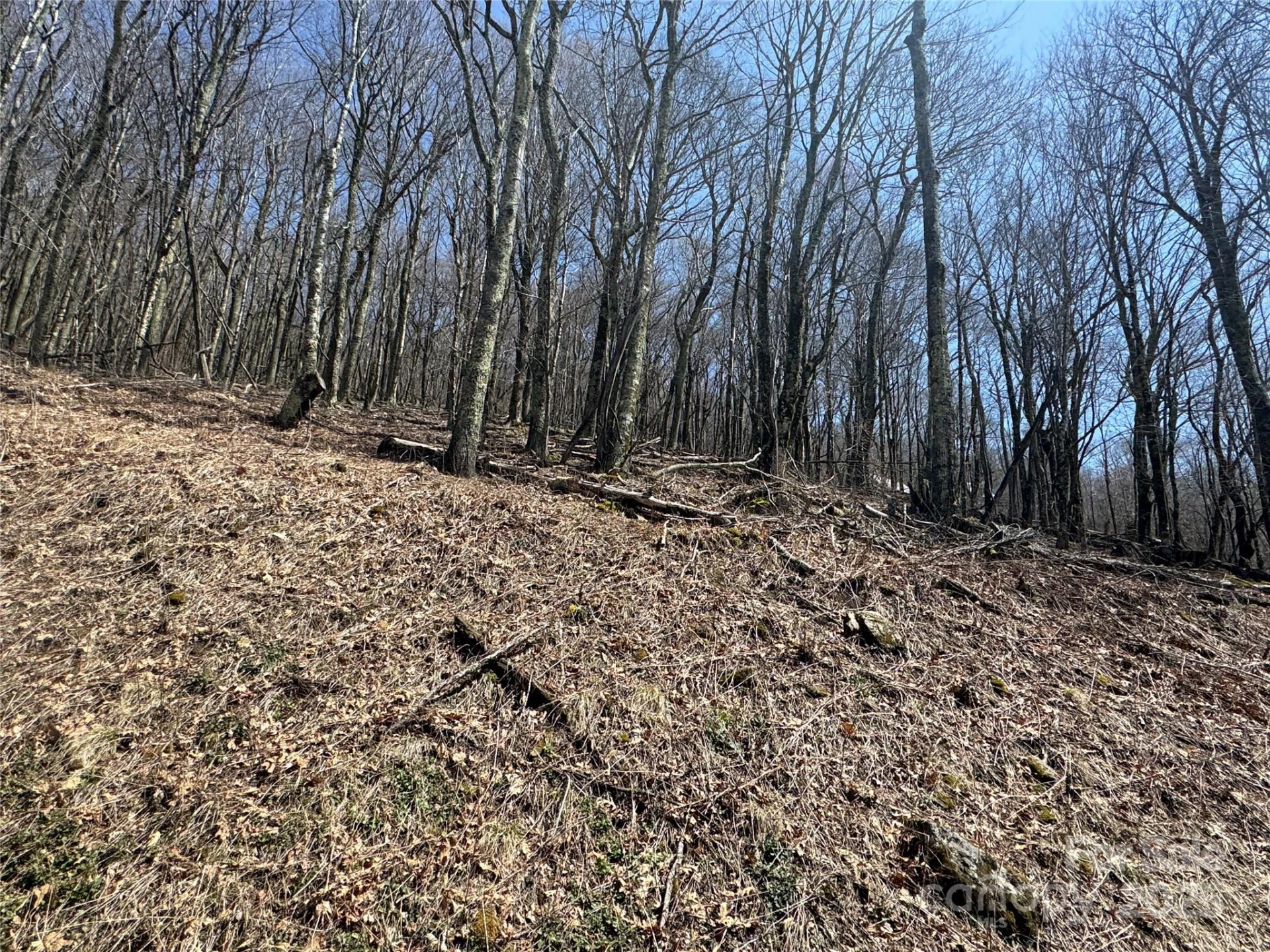 244 & 245 Grouse Thicket Lane - Photo 2