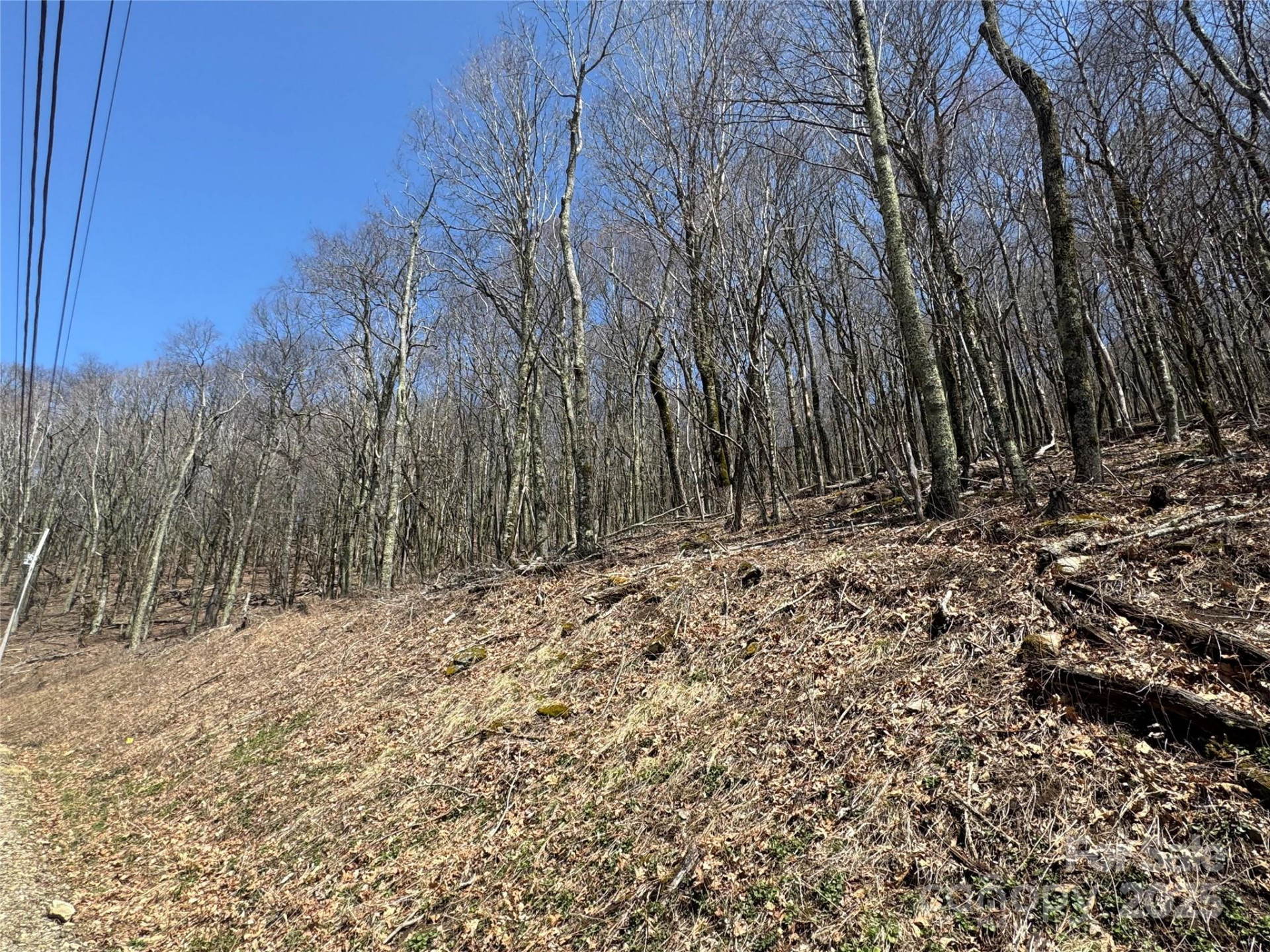 244 & 245 Grouse Thicket Lane - Photo 3