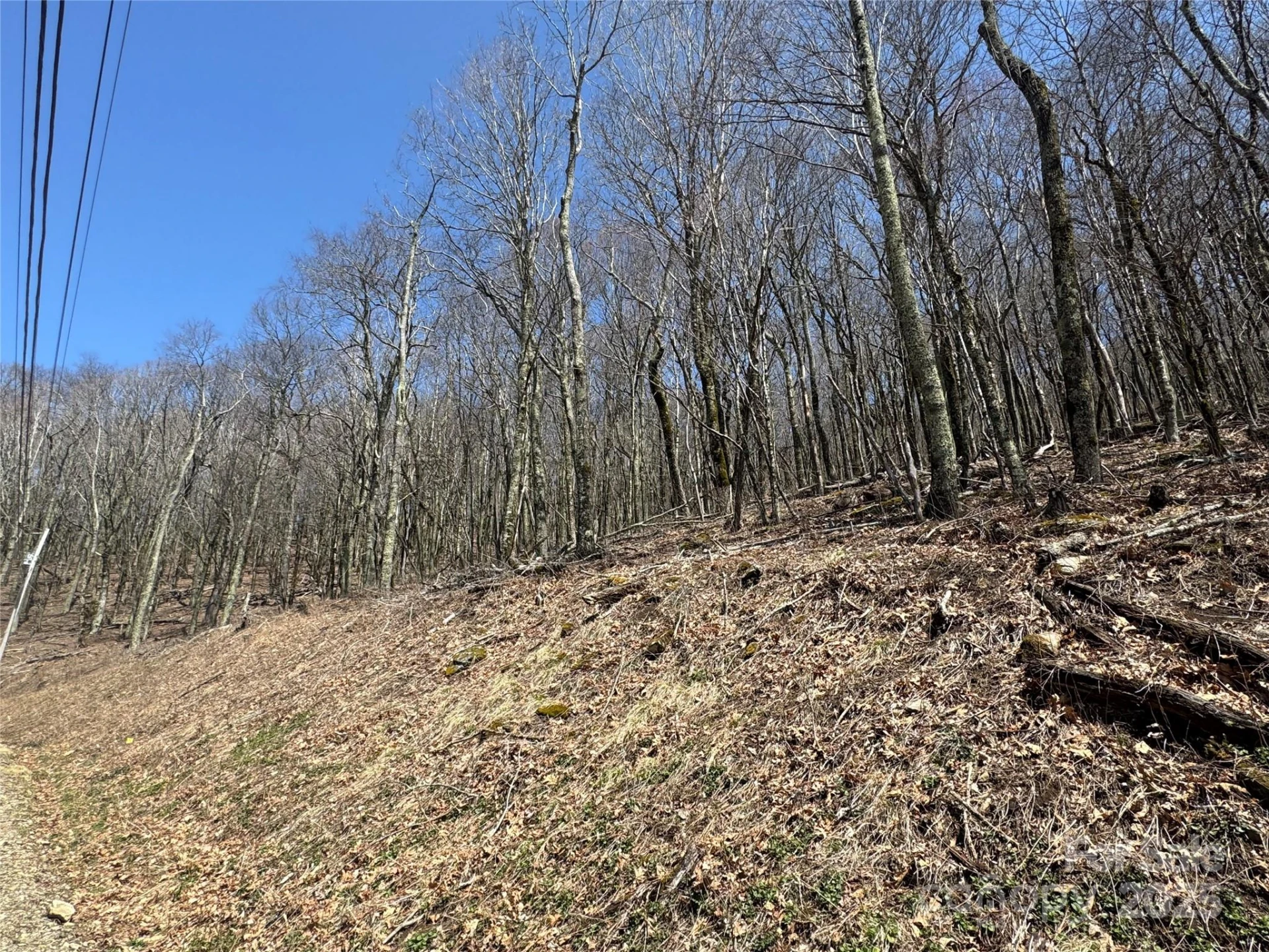 244 & 245 Grouse Thicket Lane - Photo 3