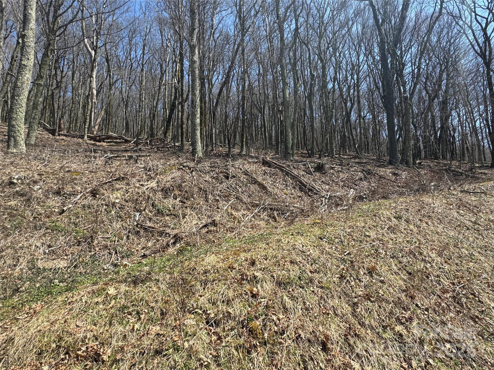 244 & 245 Grouse Thicket Lane - Photo 4