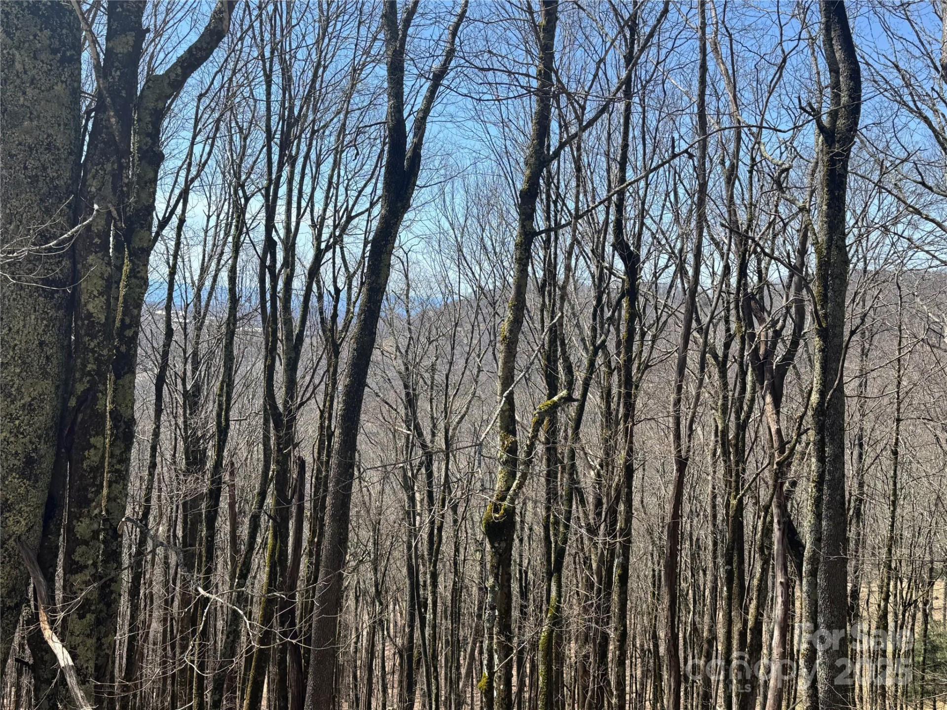 244 & 245 Grouse Thicket Lane - Photo 5