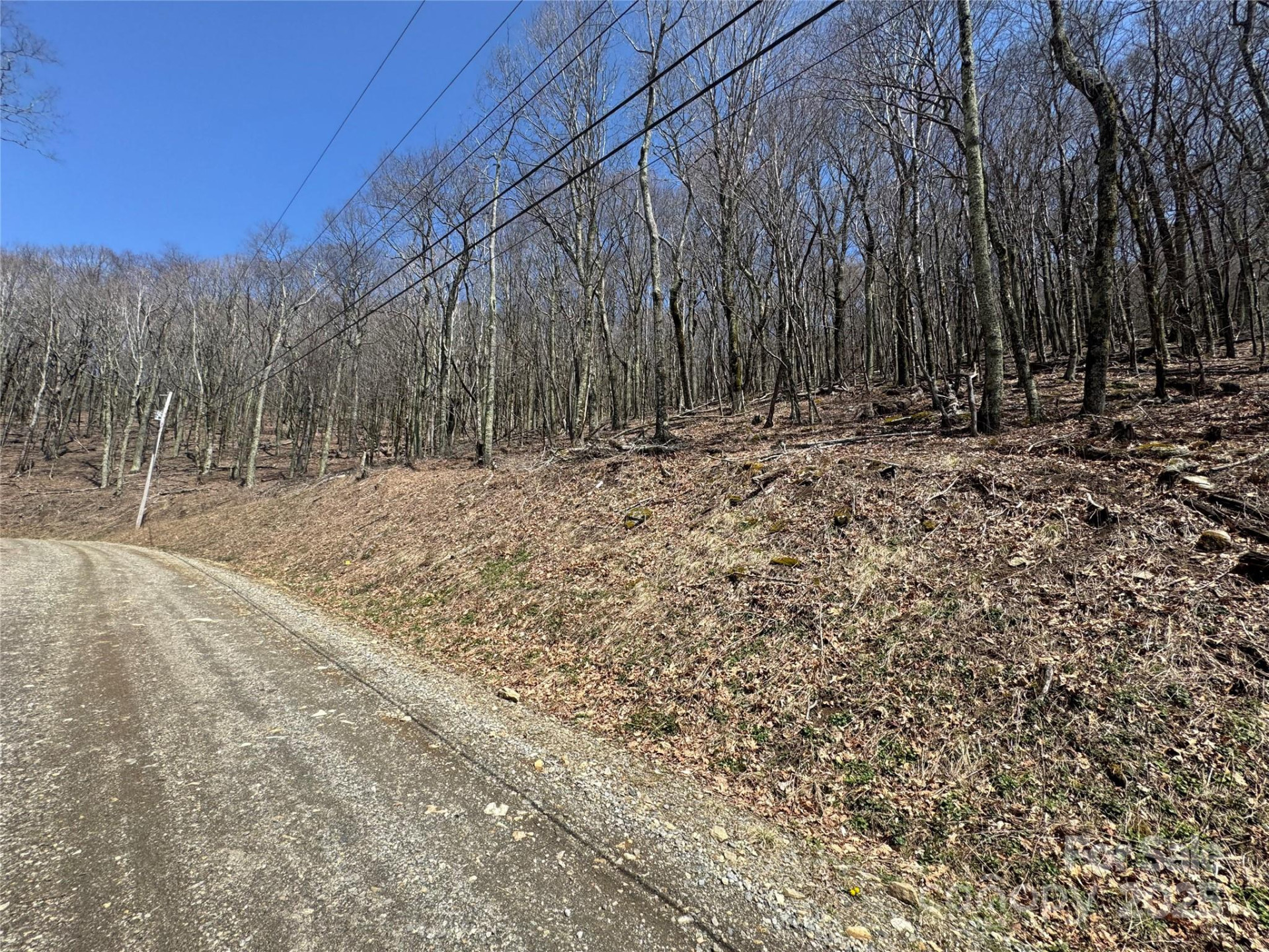 244 & 245 Grouse Thicket Lane - Photo 7