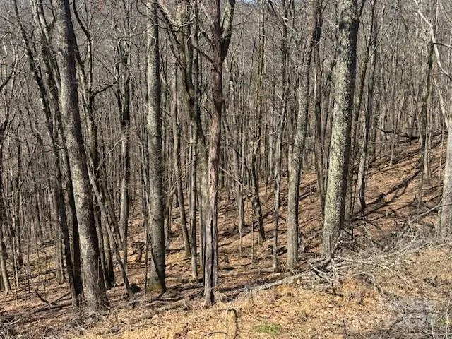 261 Grouse Thicket Lane, Mars Hill, NC, 28754