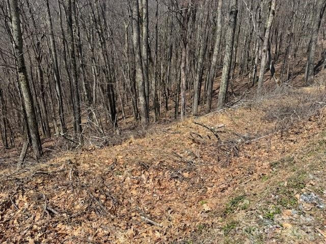 261 Grouse Thicket Lane - Photo 2