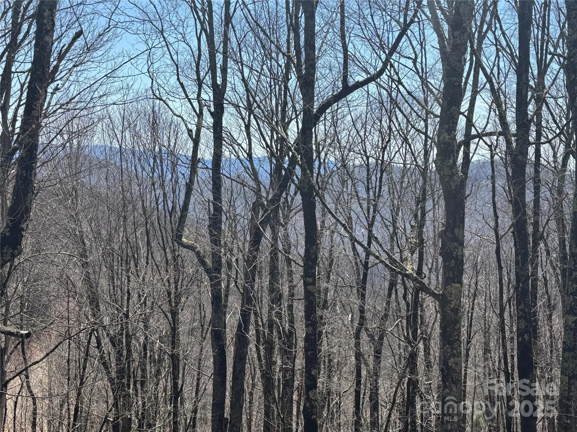 261 Grouse Thicket Lane - Photo 4