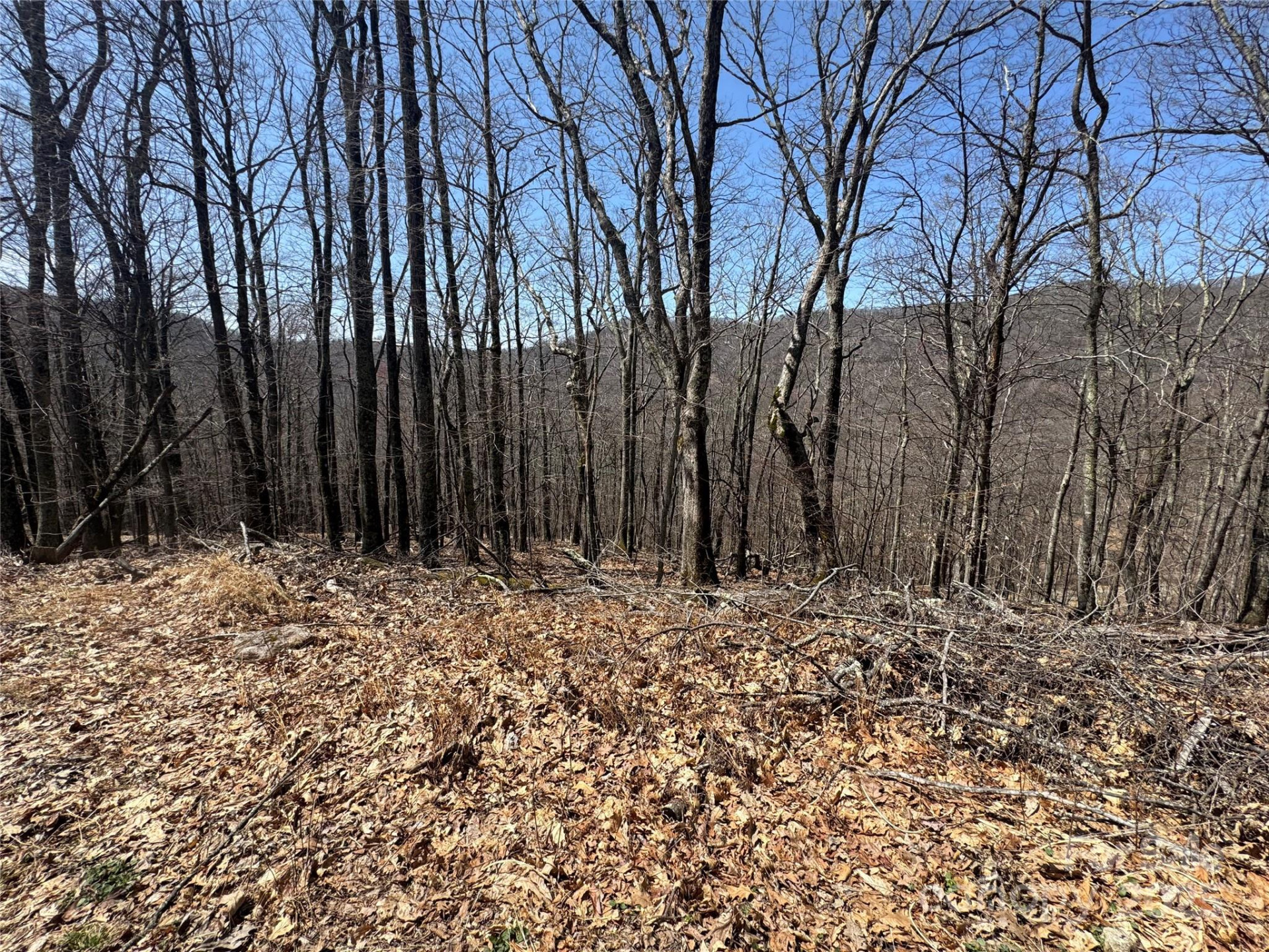 334-335-336 Hamlin Lane