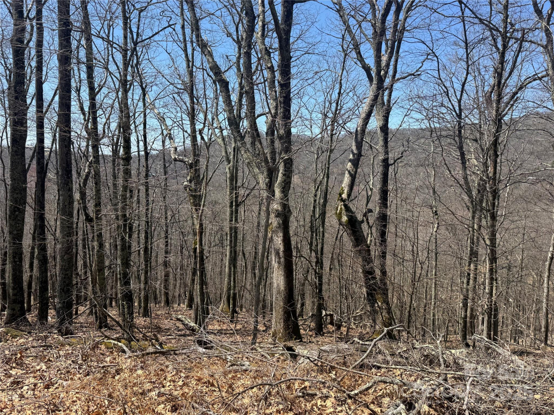 334-335-336 Hamlin Lane - Photo 3