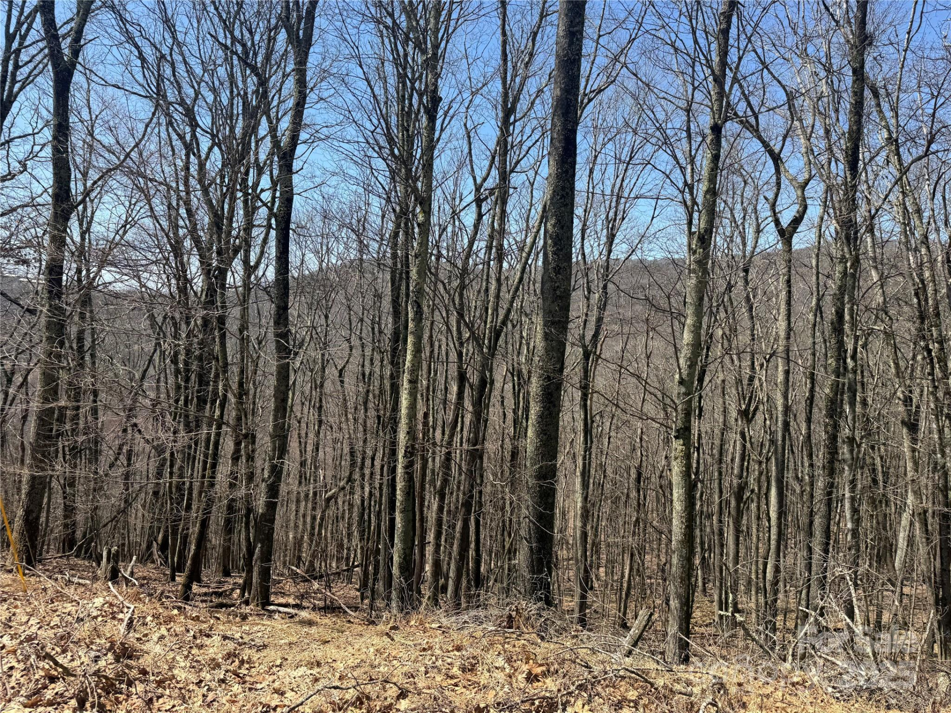 334-335-336 Hamlin Lane - Photo 5