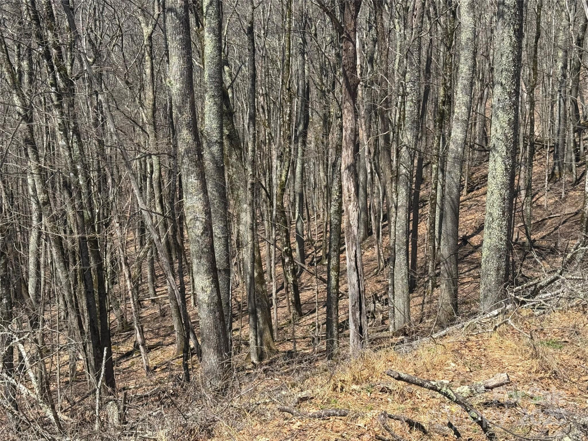 334-335-336 Hamlin Lane - Photo 8