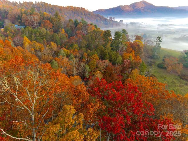 999 Coyote Hollow Road