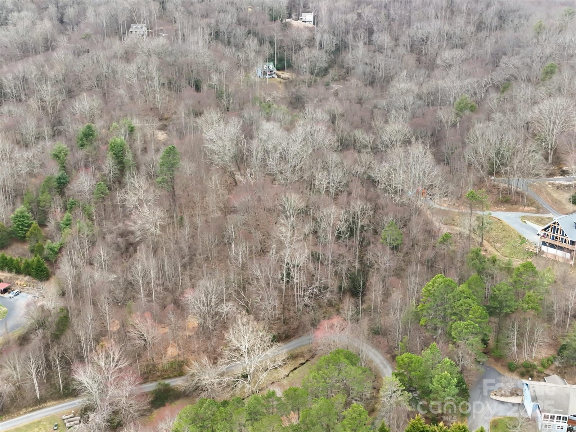 999 Coyote Hollow Road #39 - Photo 5