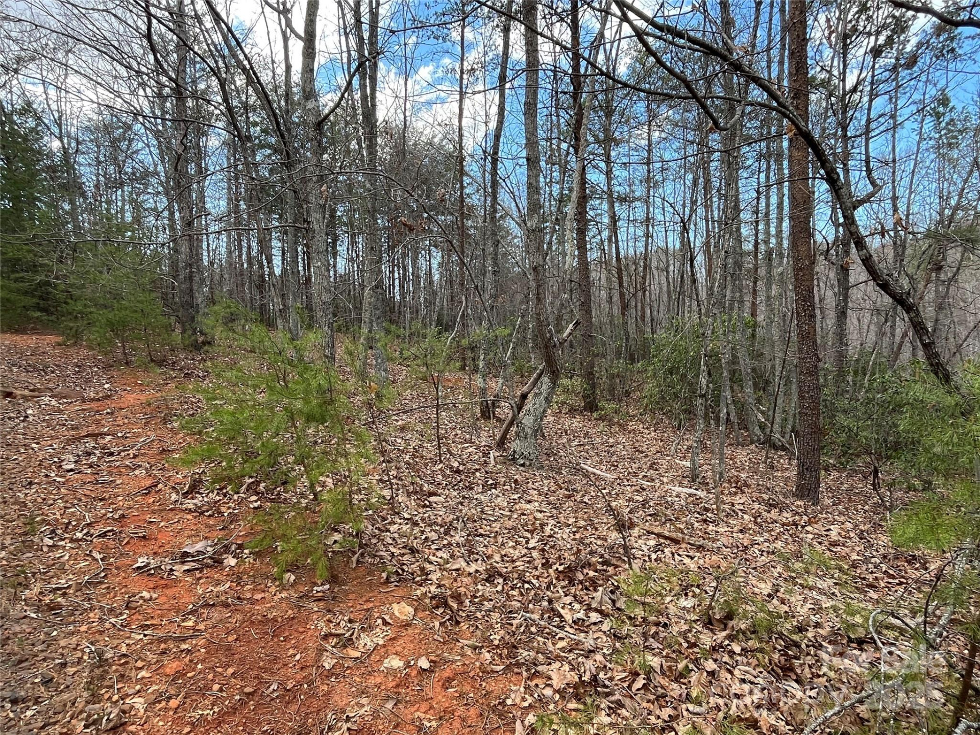00 Grouse Ridge Drive - Photo 11