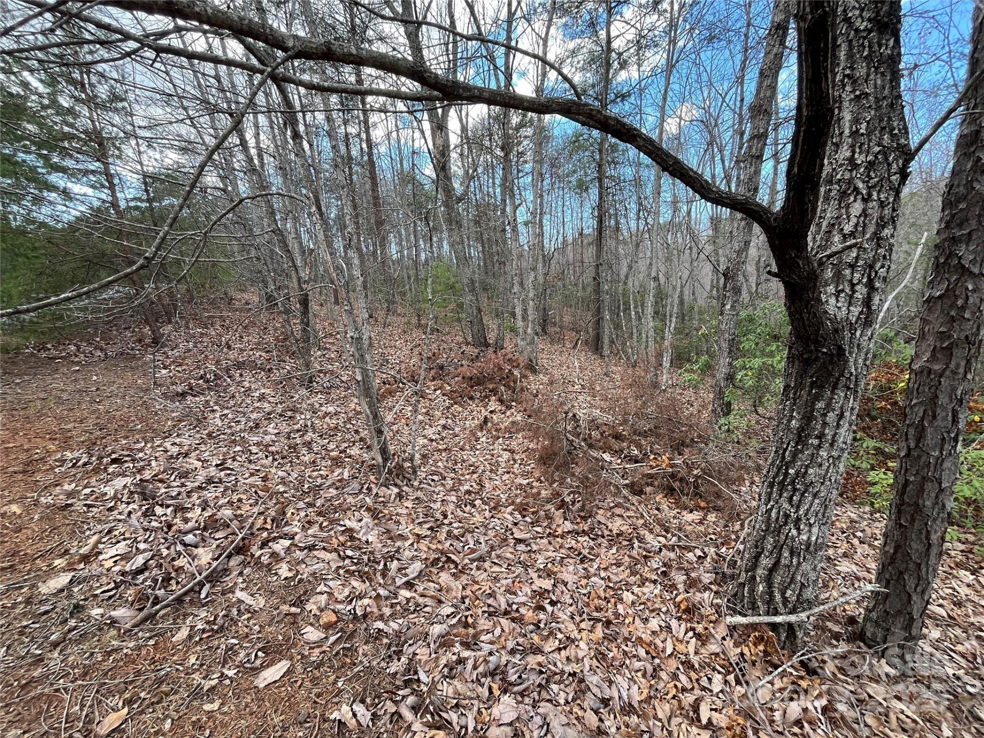 00 Grouse Ridge Drive - Photo 12