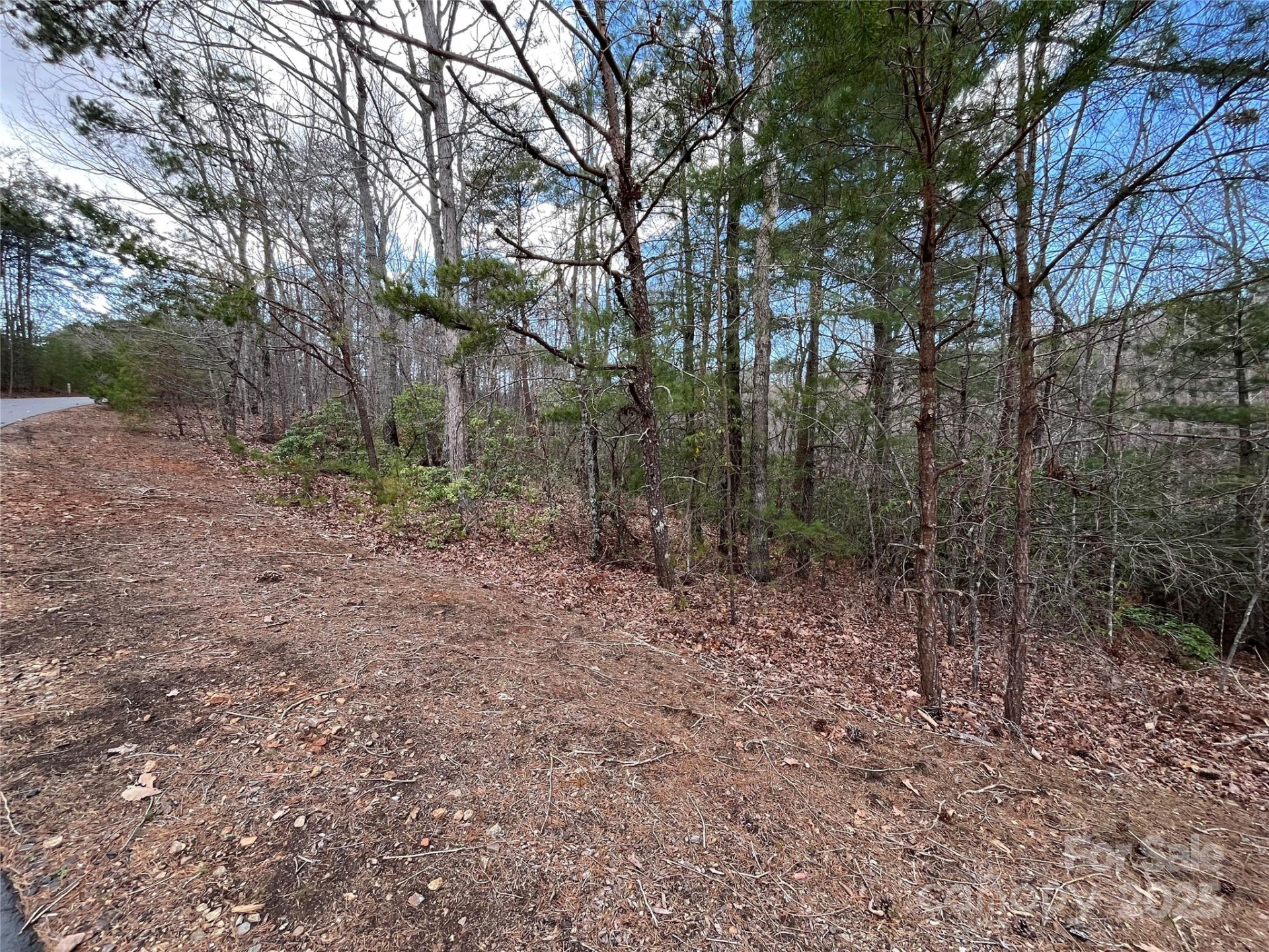 00 Grouse Ridge Drive - Photo 13