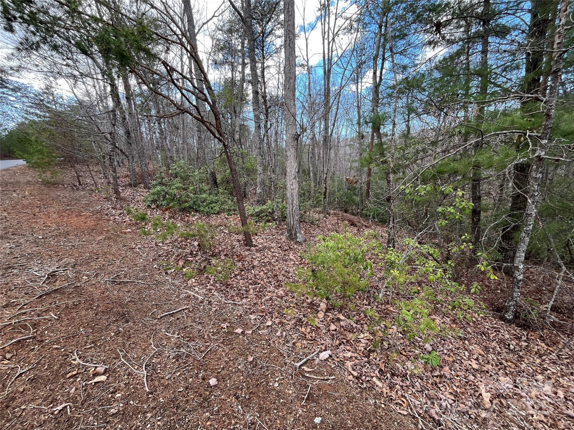 00 Grouse Ridge Drive - Photo 14
