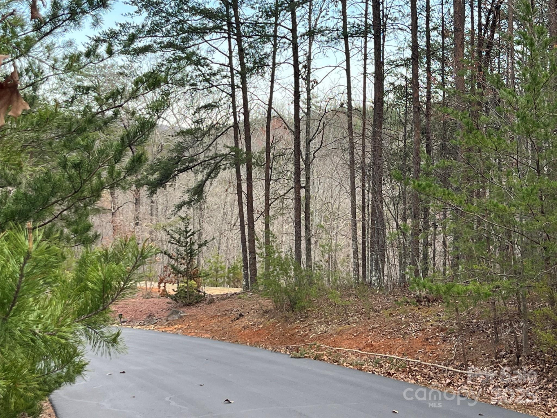 00 Grouse Ridge Drive - Photo 15