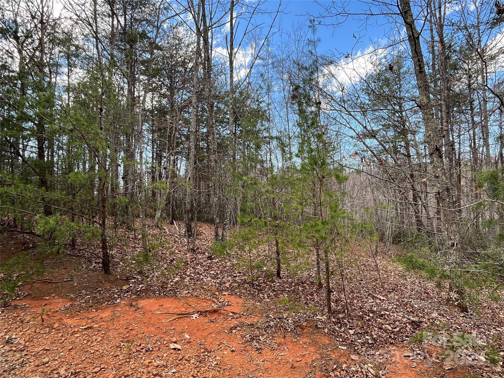 00 Grouse Ridge Drive - Photo 16