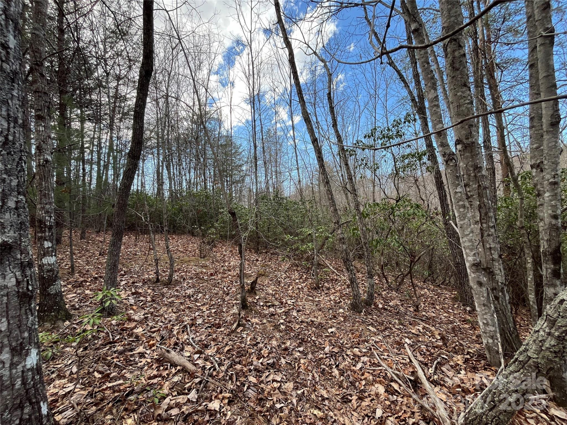 00 Grouse Ridge Drive - Photo 17