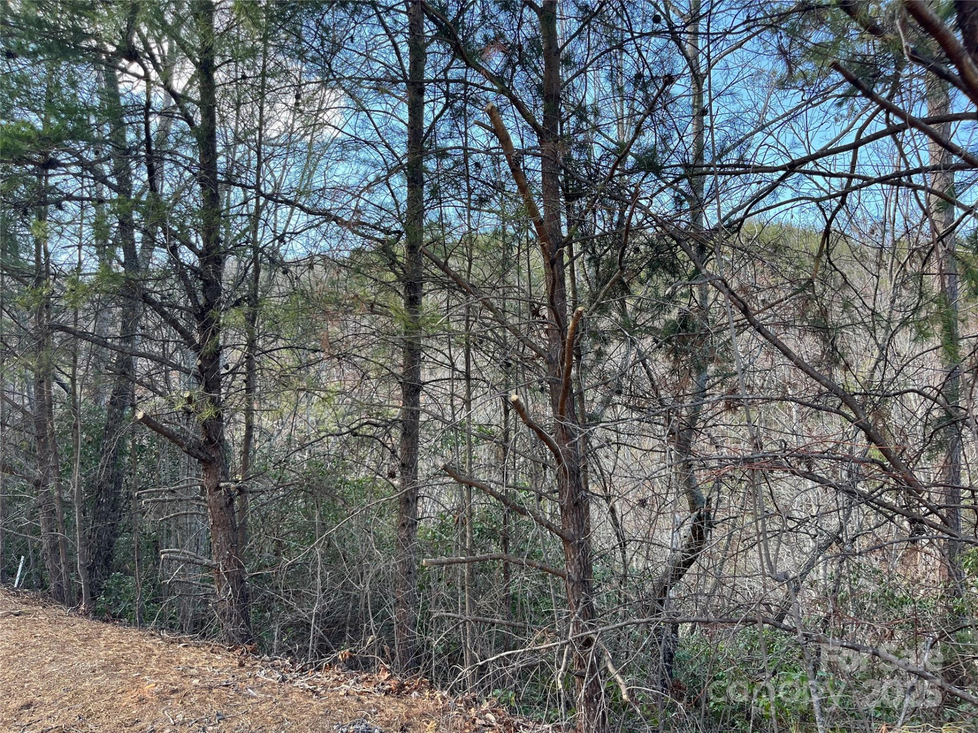 00 Grouse Ridge Drive - Photo 18