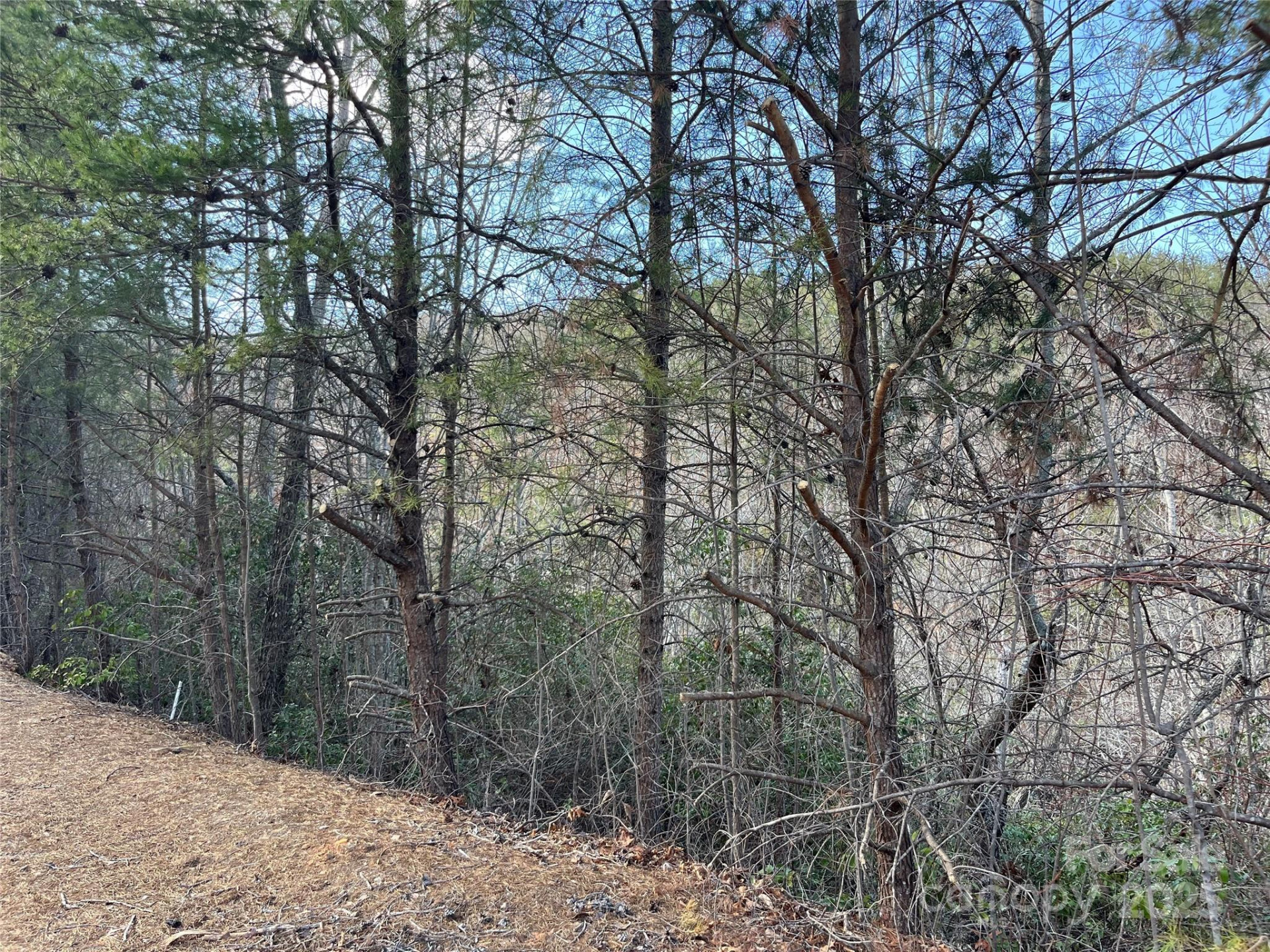 00 Grouse Ridge Drive - Photo 20
