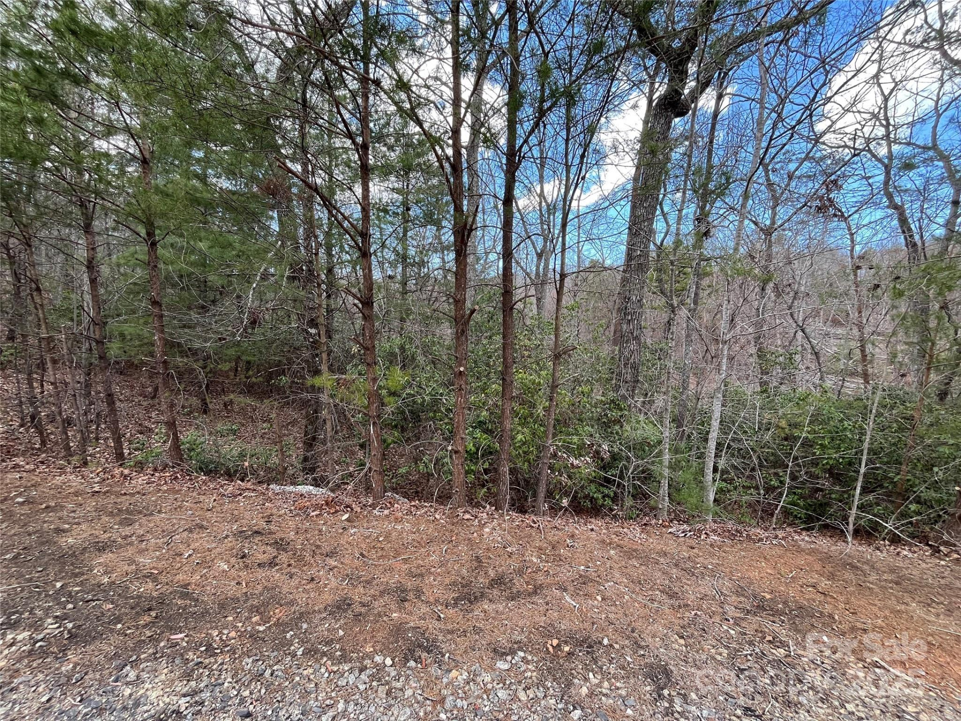 00 Grouse Ridge Drive - Photo 23