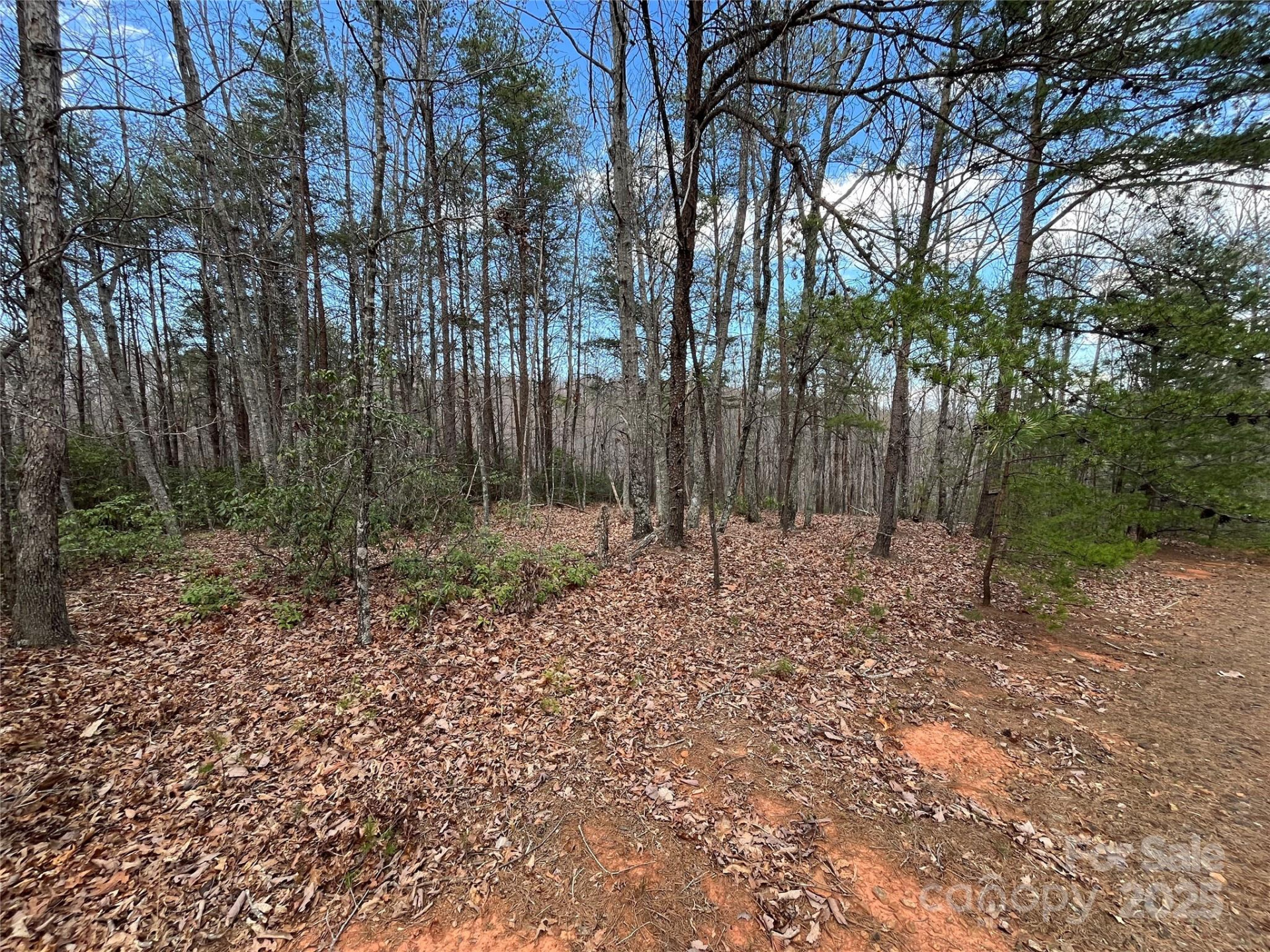 00 Grouse Ridge Drive - Photo 5
