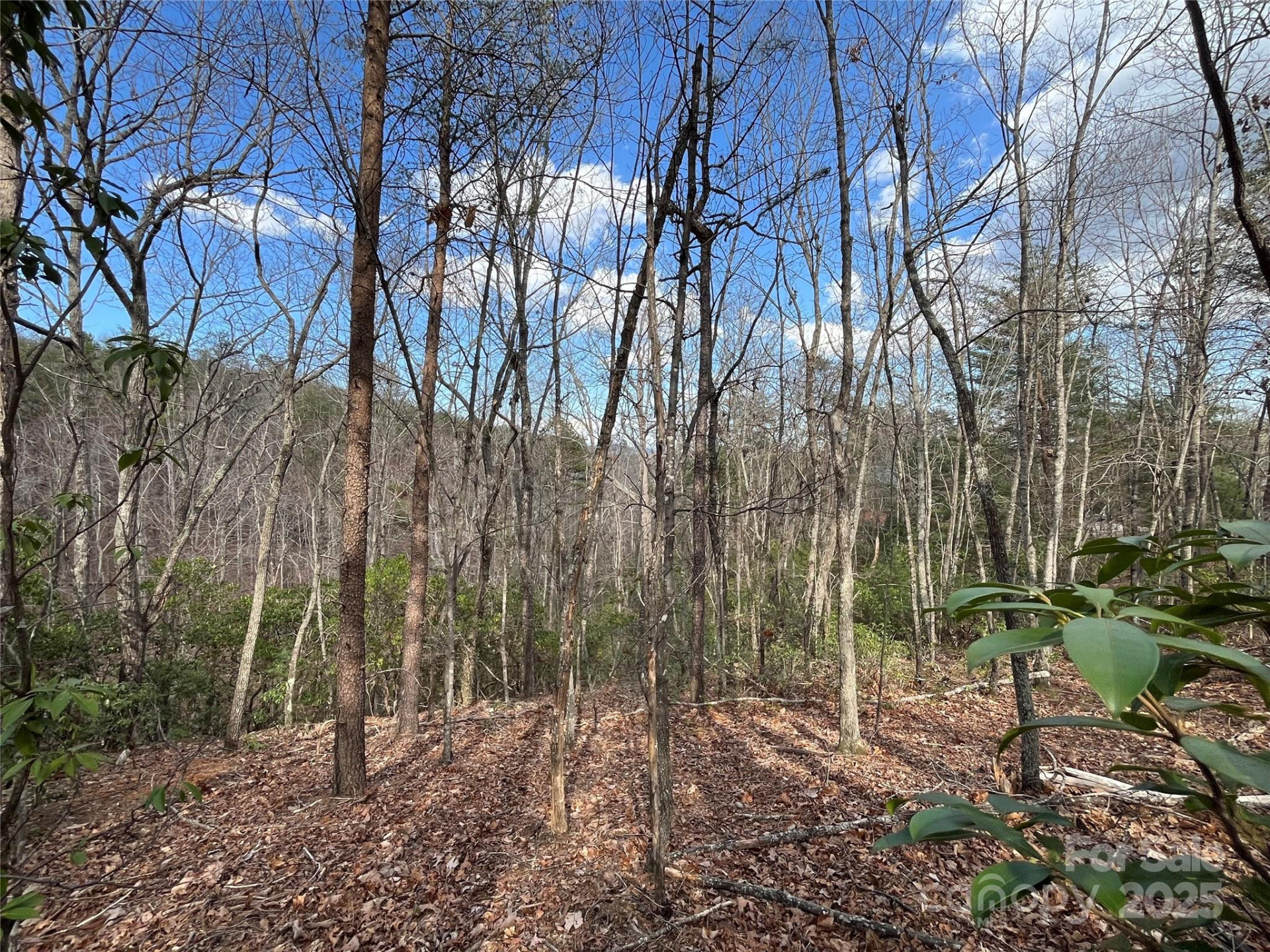 00 Grouse Ridge Drive - Photo 6