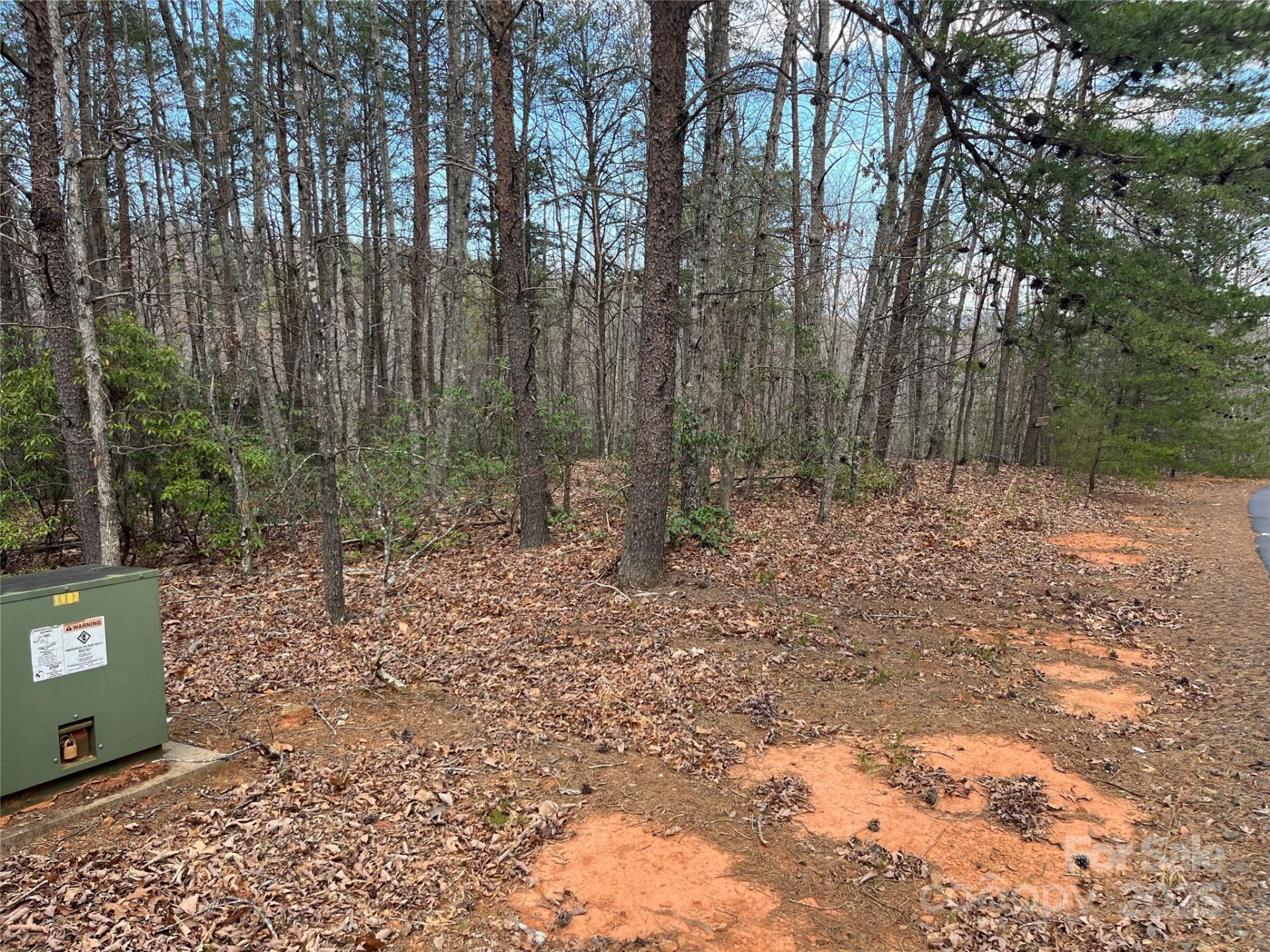 00 Grouse Ridge Drive - Photo 7