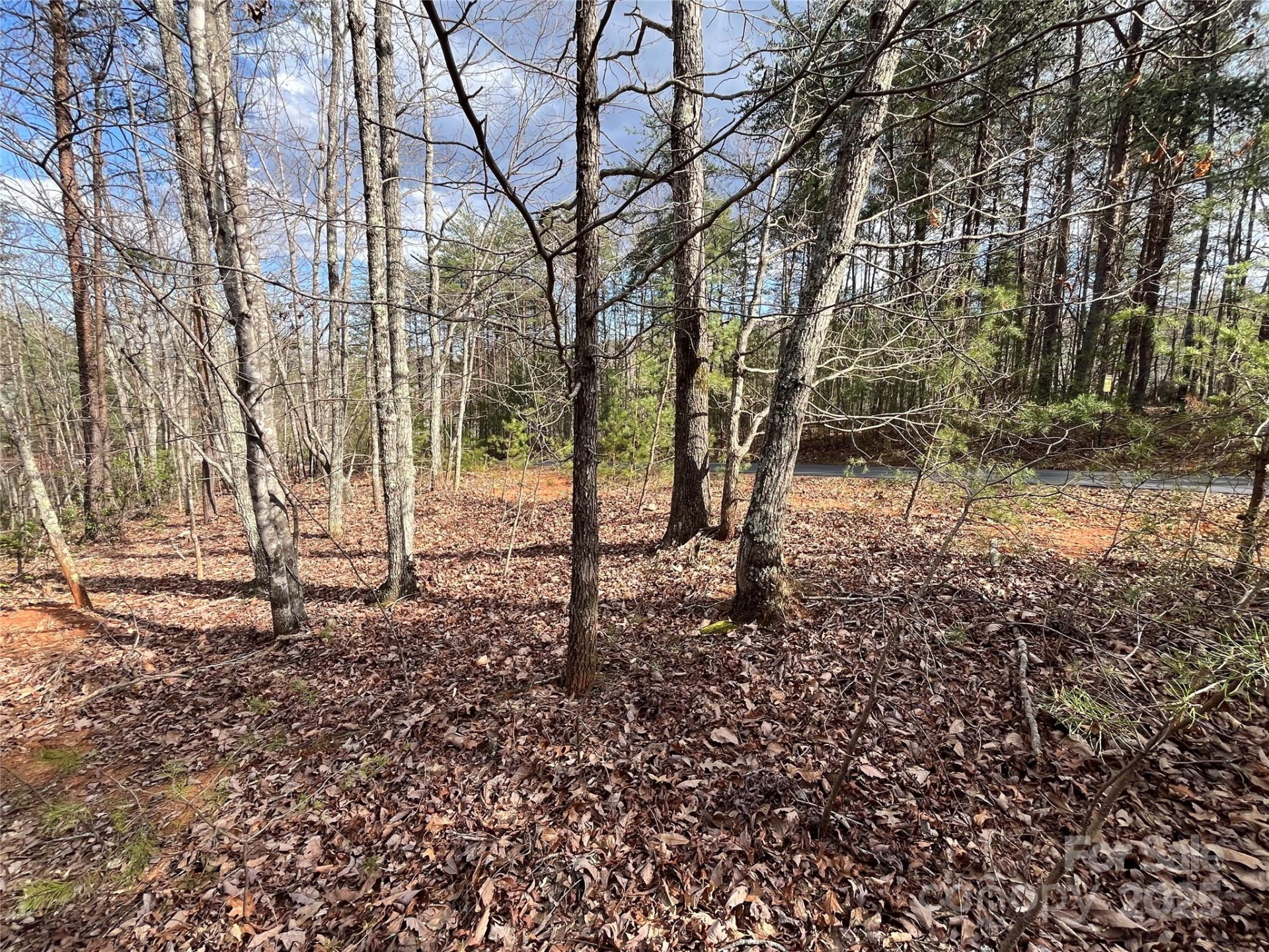 00 Grouse Ridge Drive - Photo 8