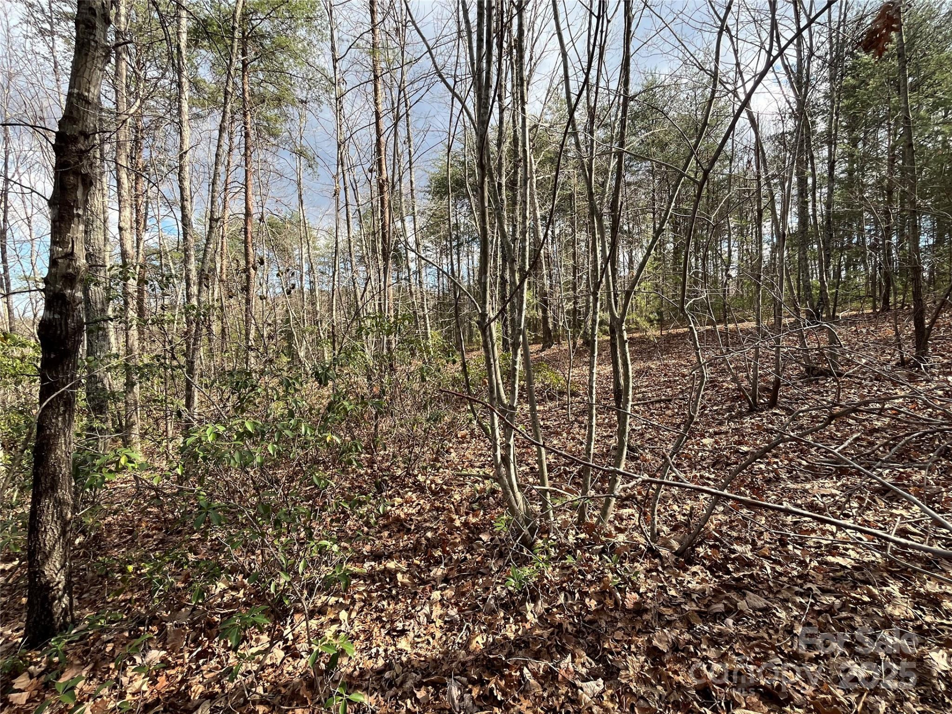 00 Grouse Ridge Drive - Photo 9