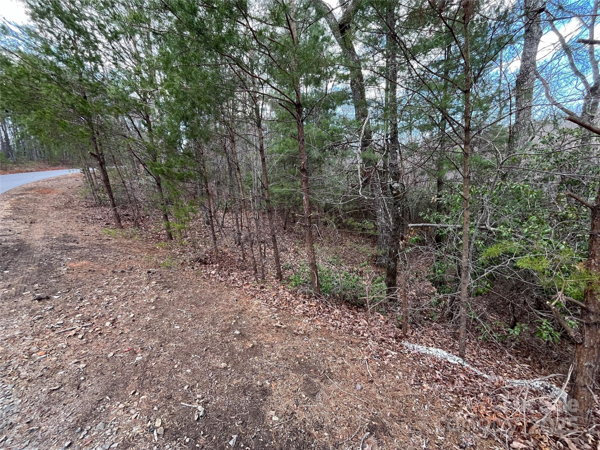 00 Grouse Ridge Drive - Photo 10