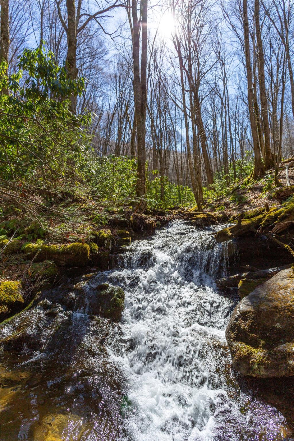 Lot 48c Bearwallow Ridge Trail #48c - Photo 2