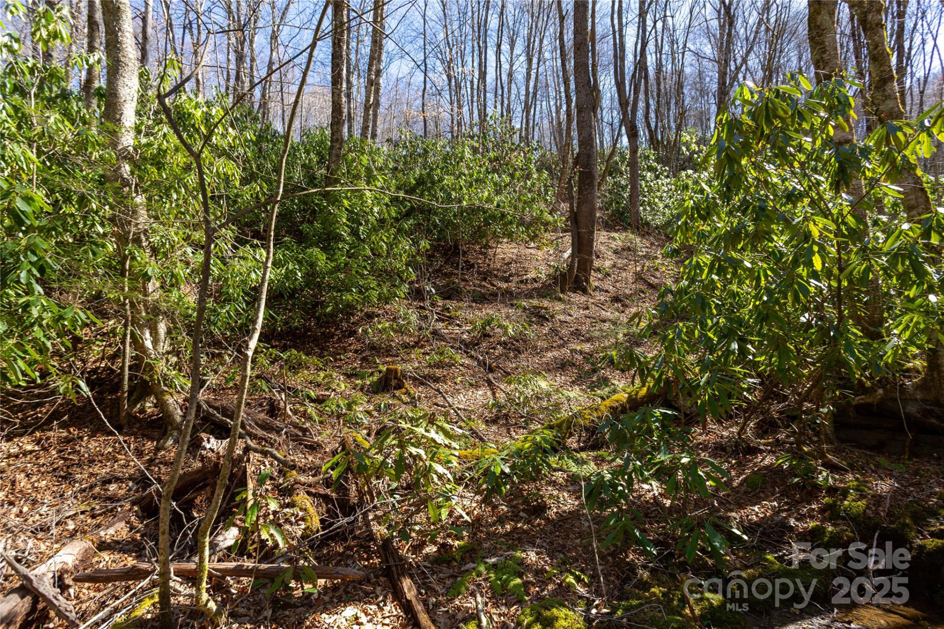 Lot 48c Bearwallow Ridge Trail #48c - Photo 11