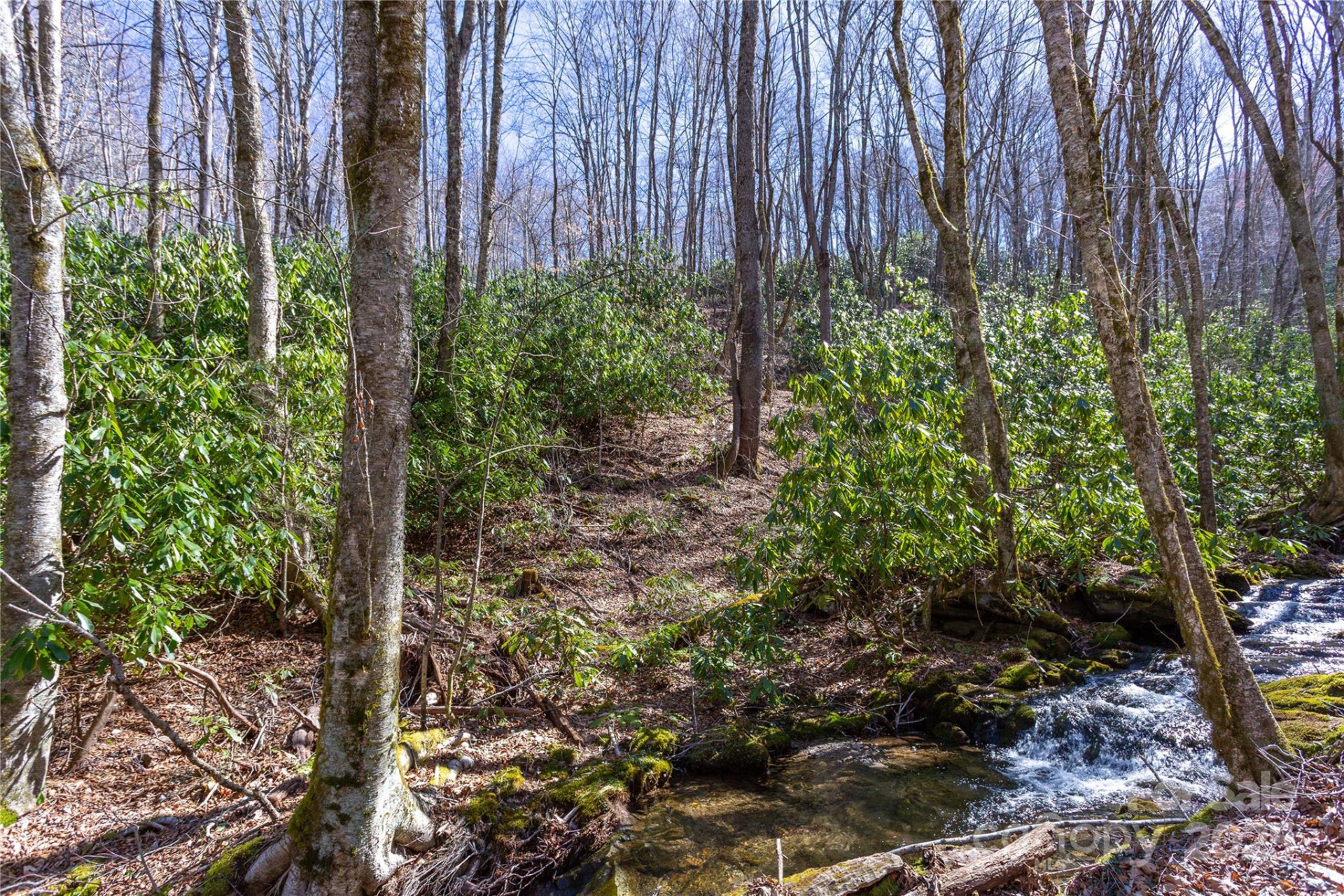 Lot 48c Bearwallow Ridge Trail #48c - Photo 14