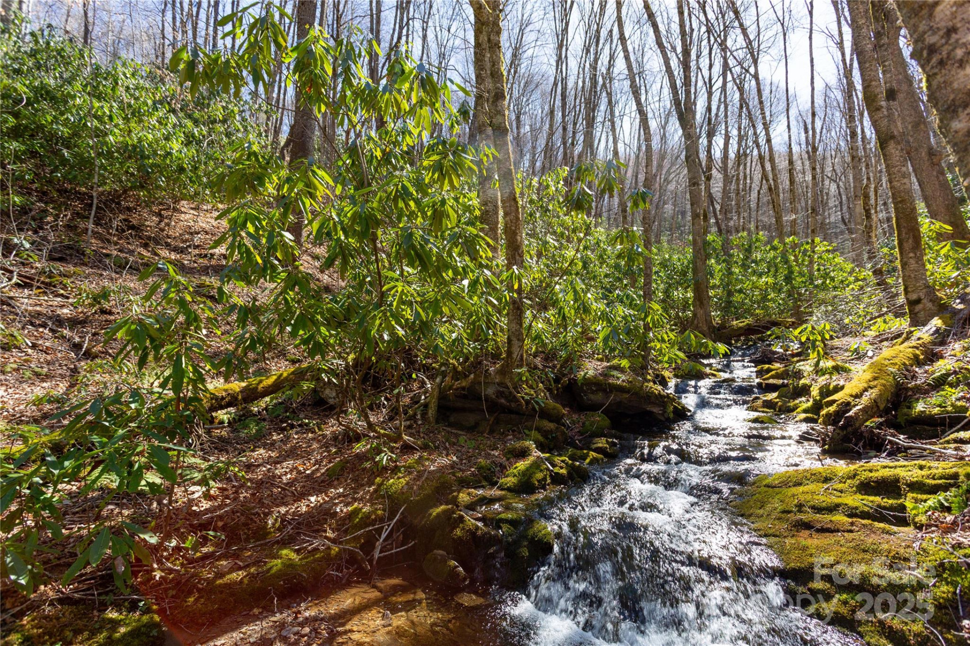 Lot 48c Bearwallow Ridge Trail #48c - Photo 15