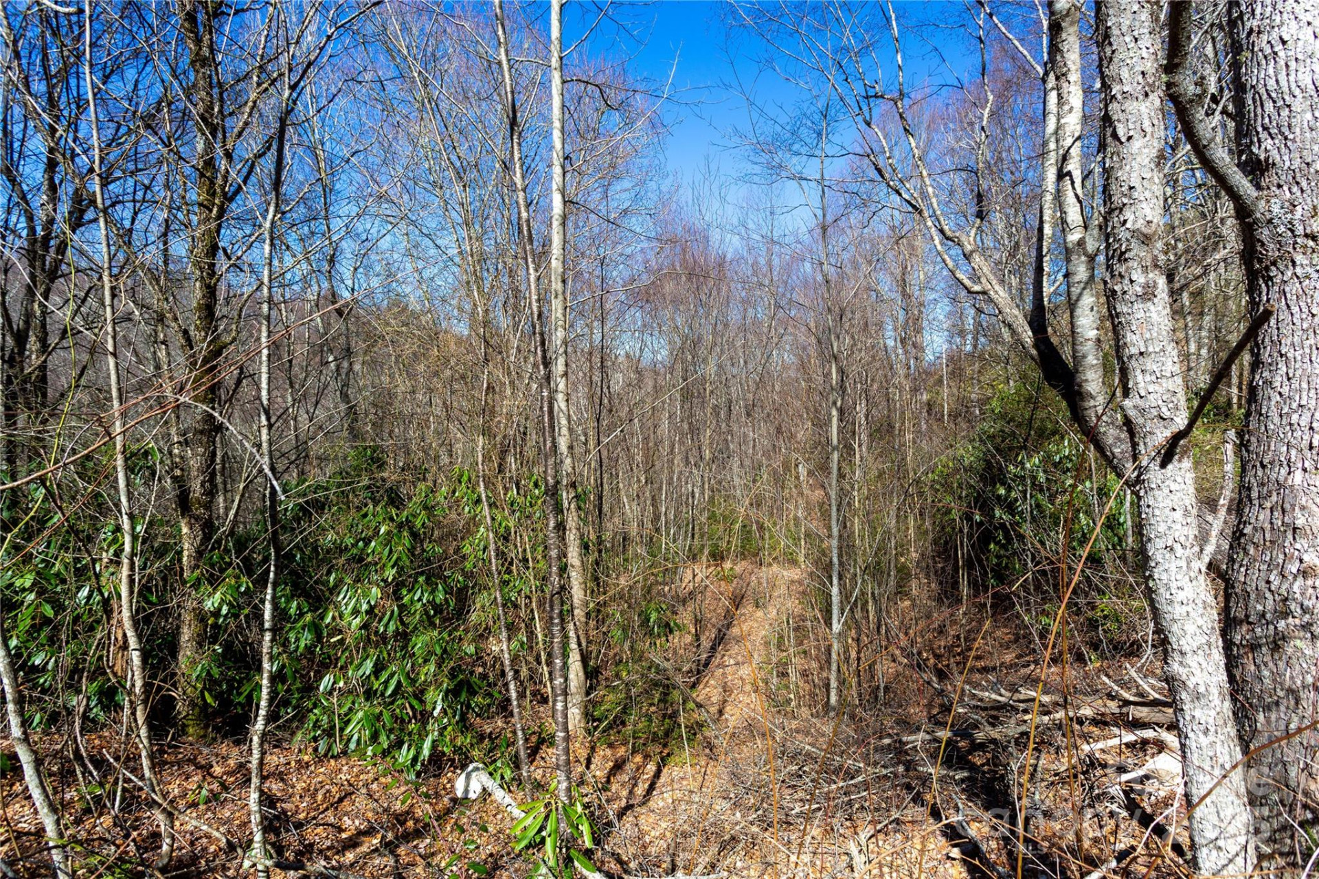 Lot 48c Bearwallow Ridge Trail #48c - Photo 17