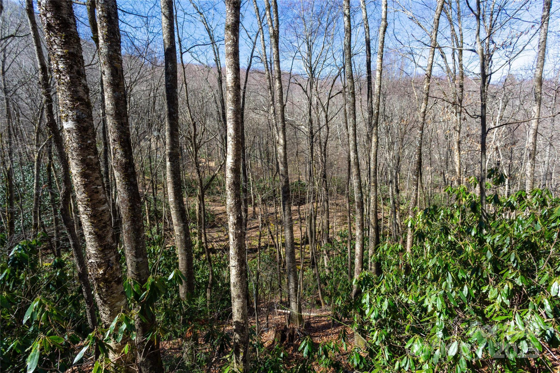 Lot 48c Bearwallow Ridge Trail #48c - Photo 18