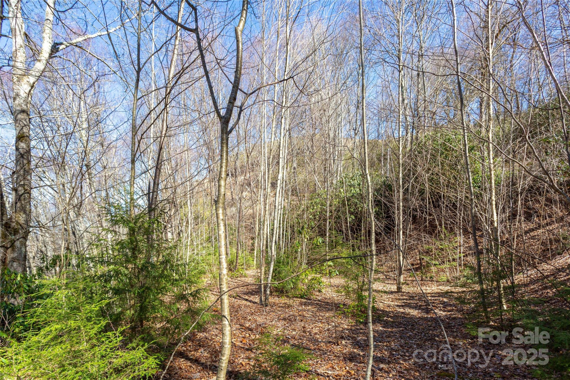 Lot 48c Bearwallow Ridge Trail #48c - Photo 19